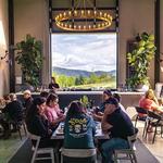 Marked Tree Vineyard