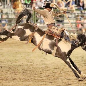 Date Night at the Rodeo