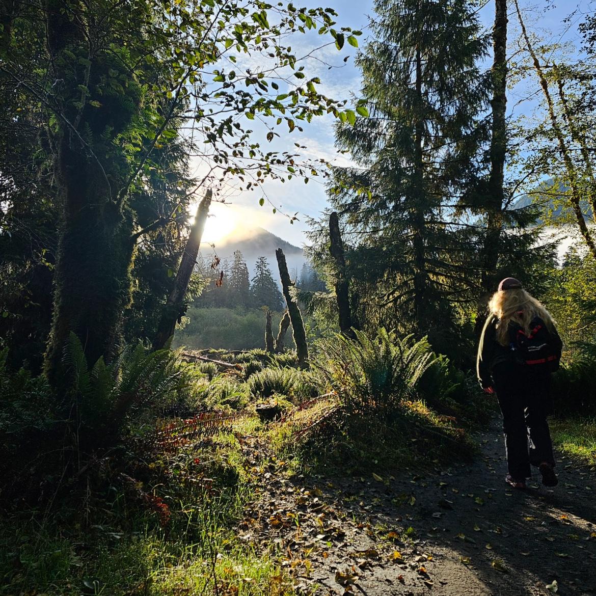 Washington Road Trip 2023 (Olympic National Park)