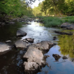 Eno River State Park