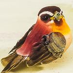 Tracy Aviary