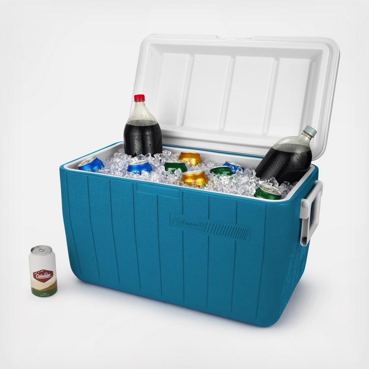 Coleman Blue Insulated Drink Carrier in the Portable Coolers department at