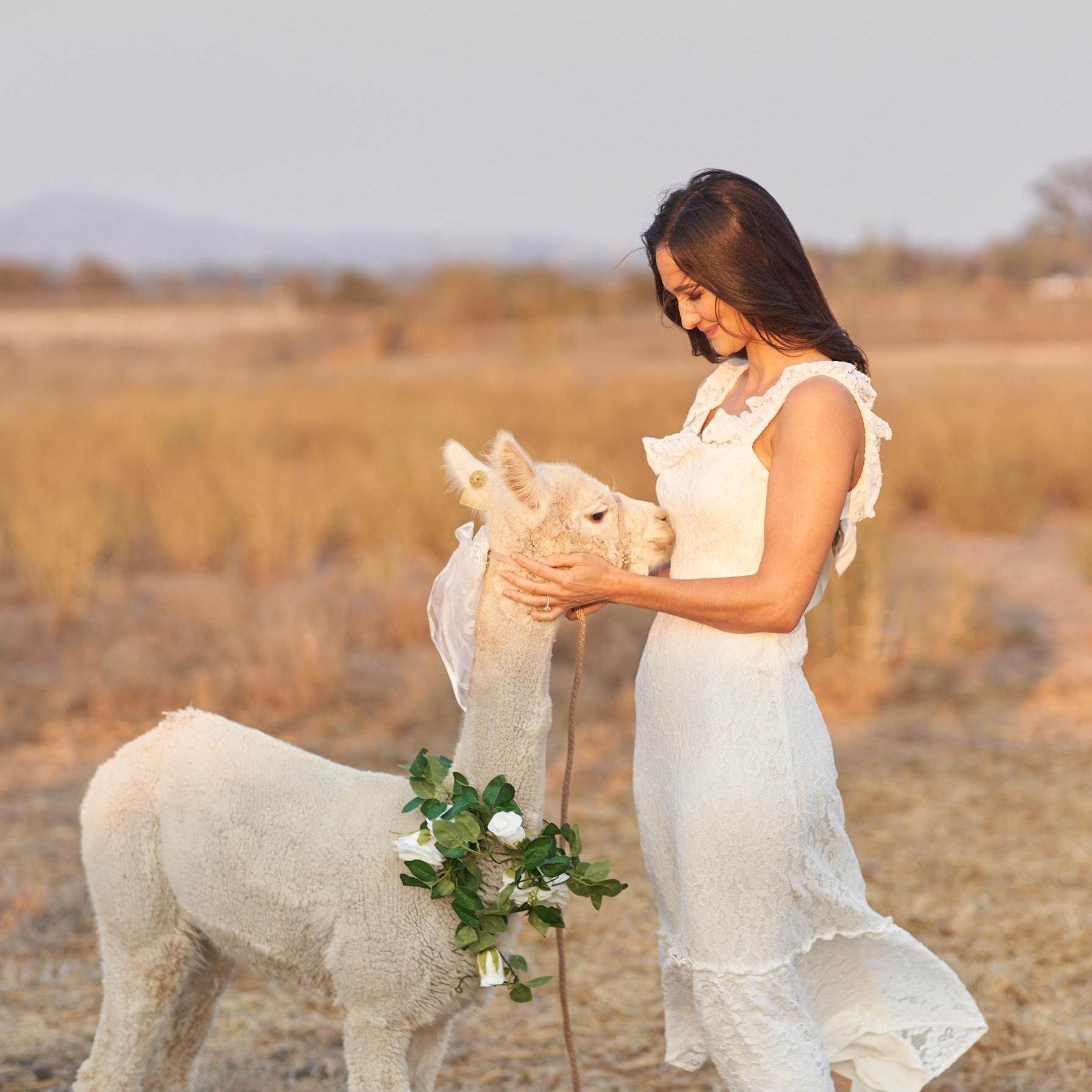 The Alpaca Whisperer™