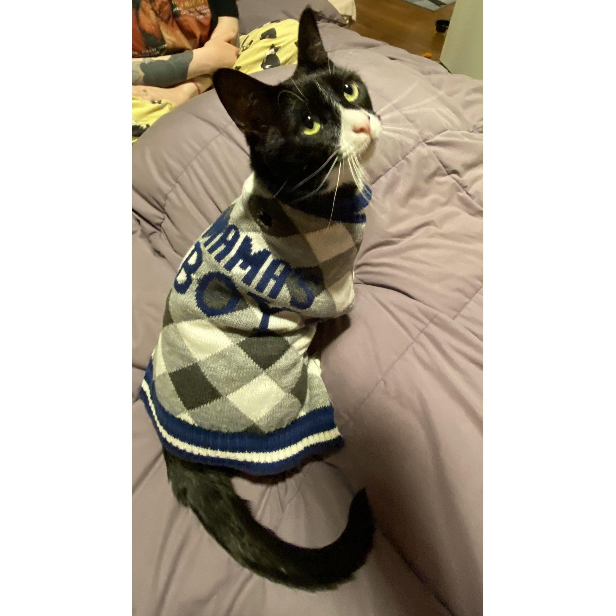 Andy's accurate sweater
