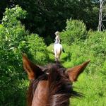 Pere Marquette Riding Stables