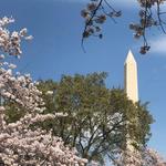 National Mall