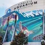 Virginia Aquarium