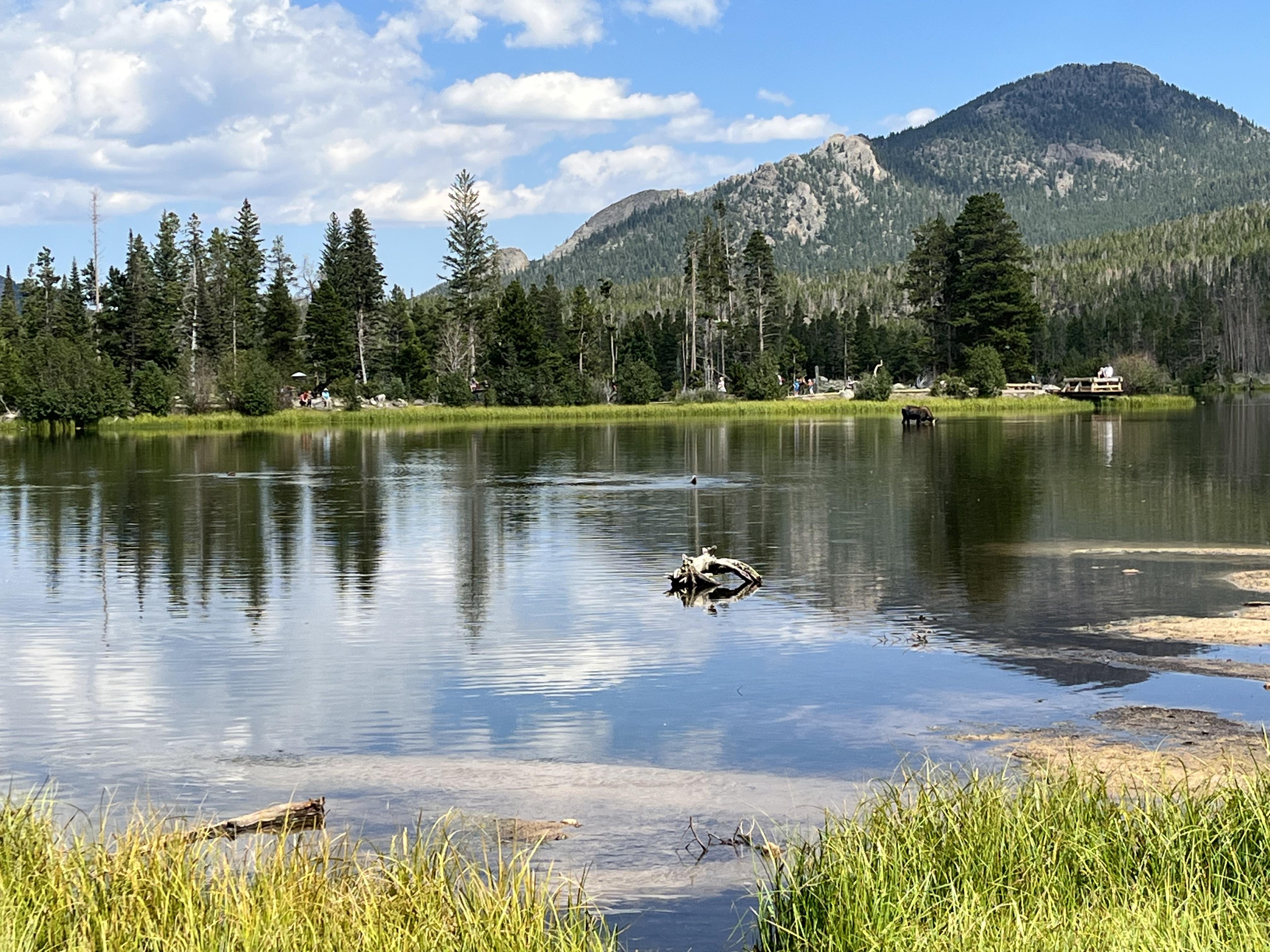 The Wedding Website of Bridget Bose and Corey Creason