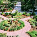 Coastal Georgia Botanical Gardens