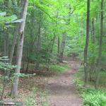 Ward Pound Ridge Reservation