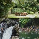 El Yunque Rainforest