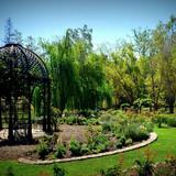 Stroll through Descanso Gardens