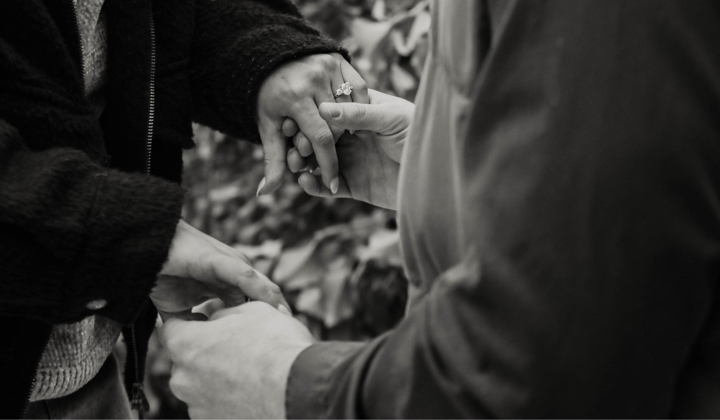 Hero Slideshow Image 3