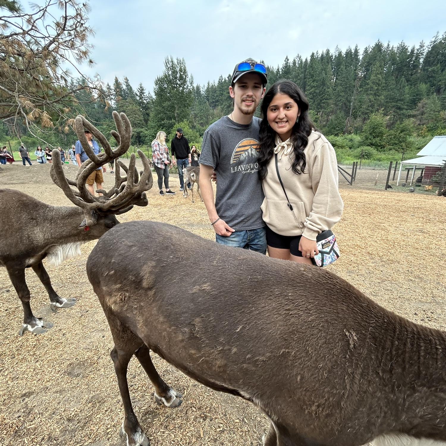Reindeer Farm ❤️