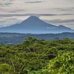 El Oriente | Ecuadorian Amazon