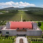 Ruta Arte Queso y Vino