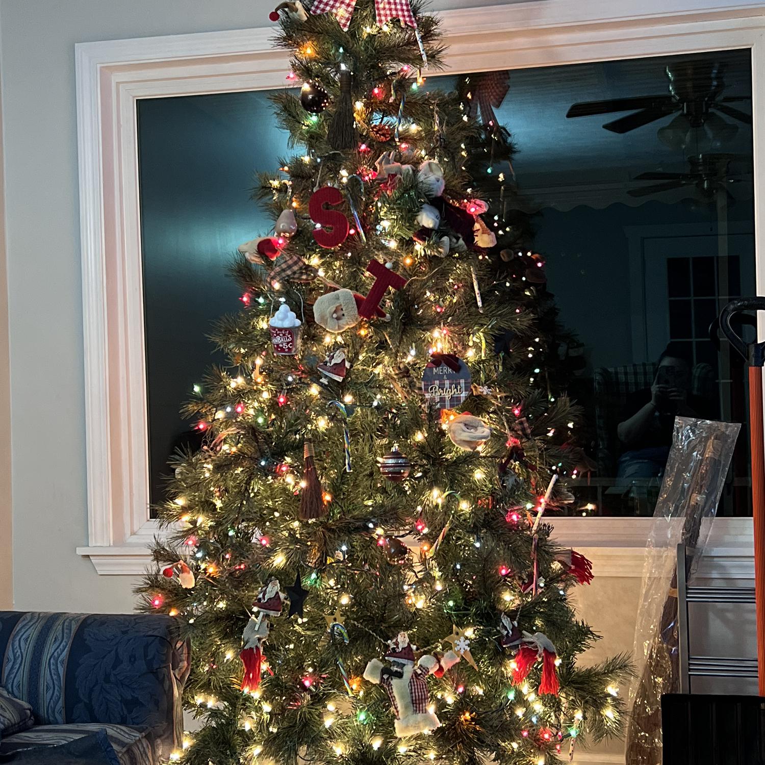 Our first real Christmas tree!