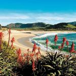 Carmel River State Beach