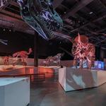 Houston Museum of Natural Science