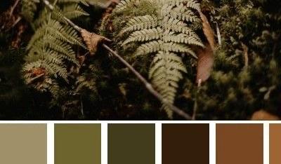 Footer image