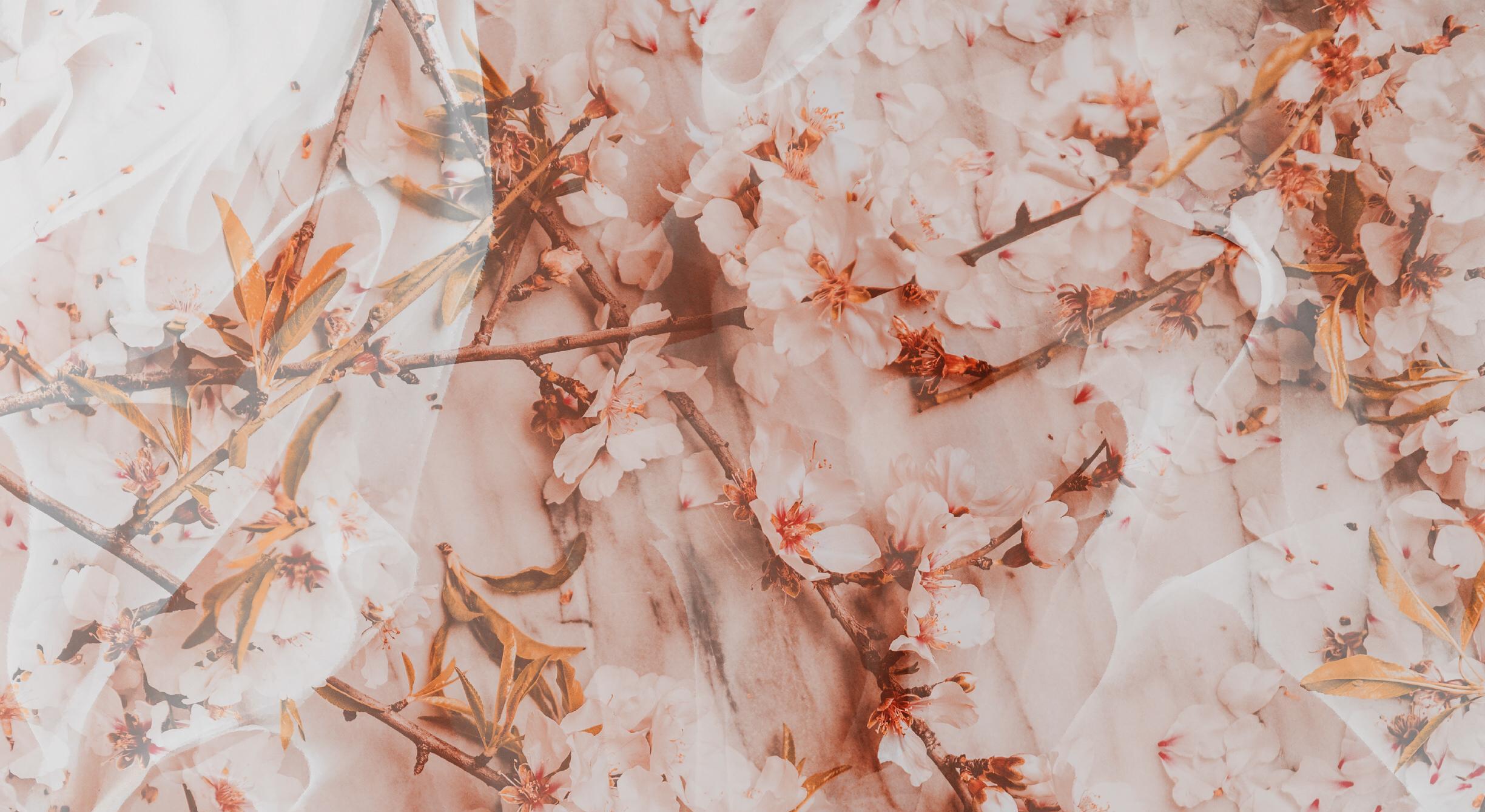Footer image