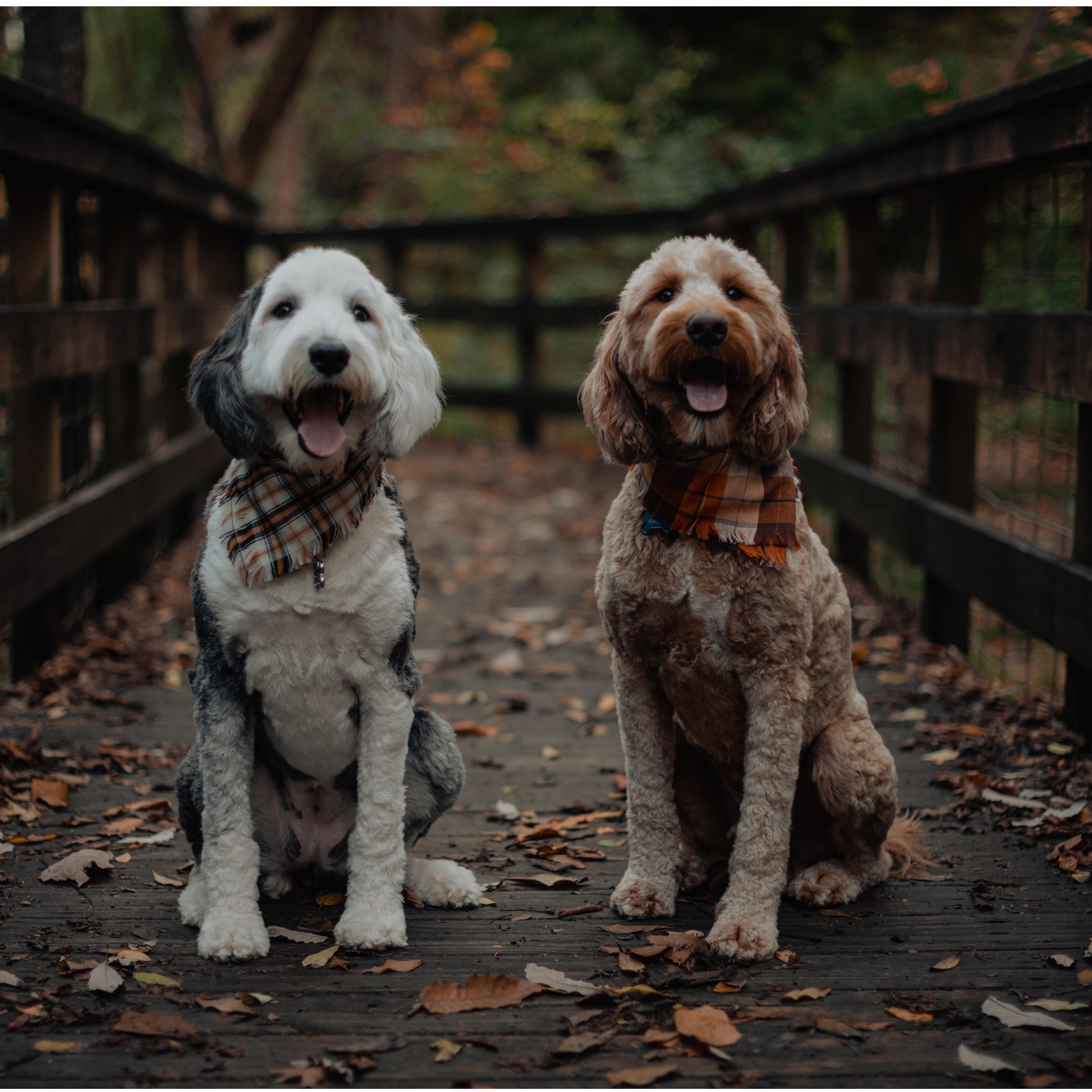 "Our Children" Walter and Lucy