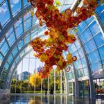 Chihuly Garden and Glass