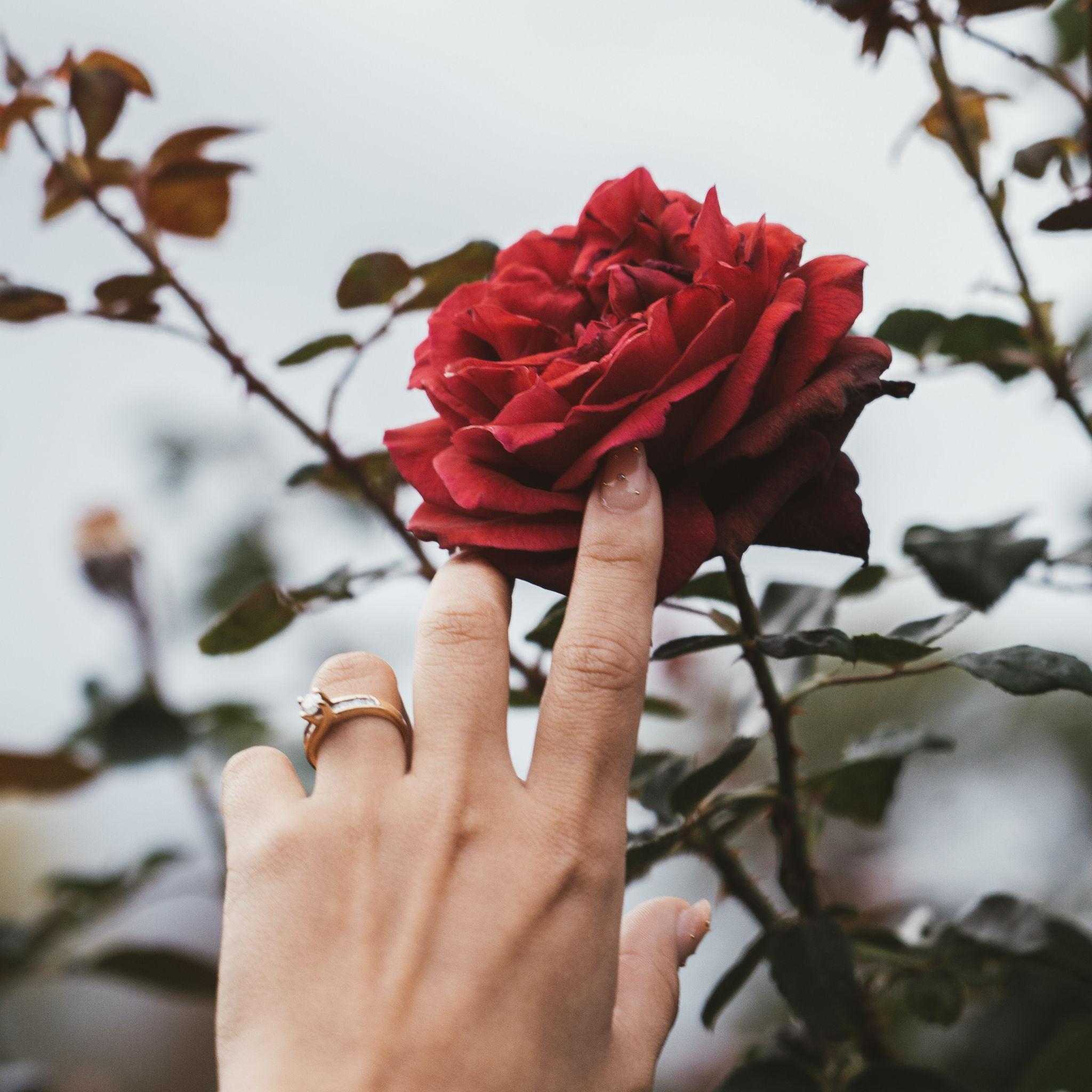 Pretty pretty ring 💍