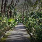 Brevard County Enchanted Forest Sanctuary