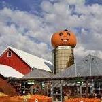 Goebbert's Farm Pingree Grove