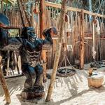 Tulum Jungle Gym