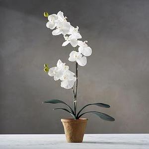 Faux Potted Orchid, 21"