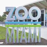 Zoo Miami