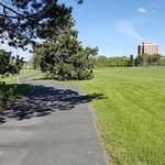 Paradise Path