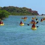 Virgin Islands Ecotours