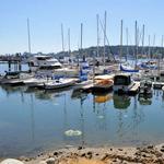 Bainbridge Island