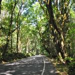 Point Defiance Park