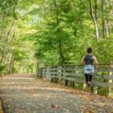 Monon Trail