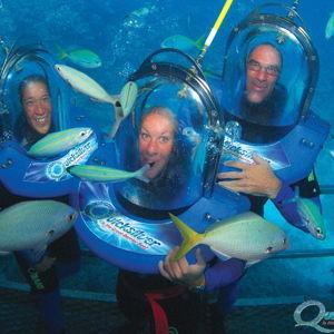 Great Barrier Reef Oceanwalker Tour