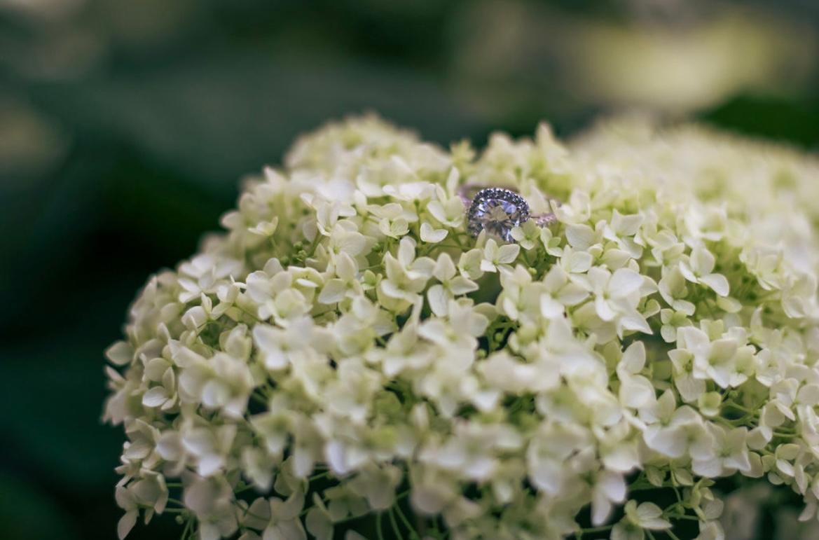 The Wedding Website of Kayla Johnson and Frank Marrazzo