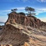Hike Torrey Pines State Natural Reserve