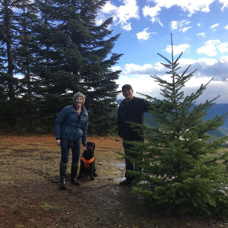 Our first real Christmas tree!