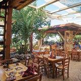 Traditional Tavernas