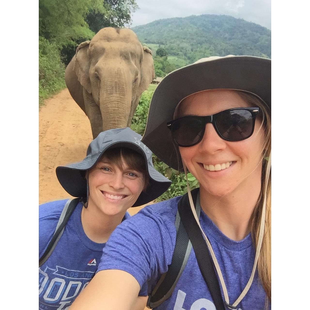 Thailand - 2017
One of the coolest days ever!