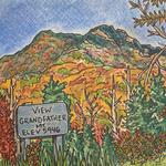 Grandfather Mountain Nature Park & Swinging Bridge