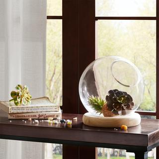 Amory Bubble Terrarium