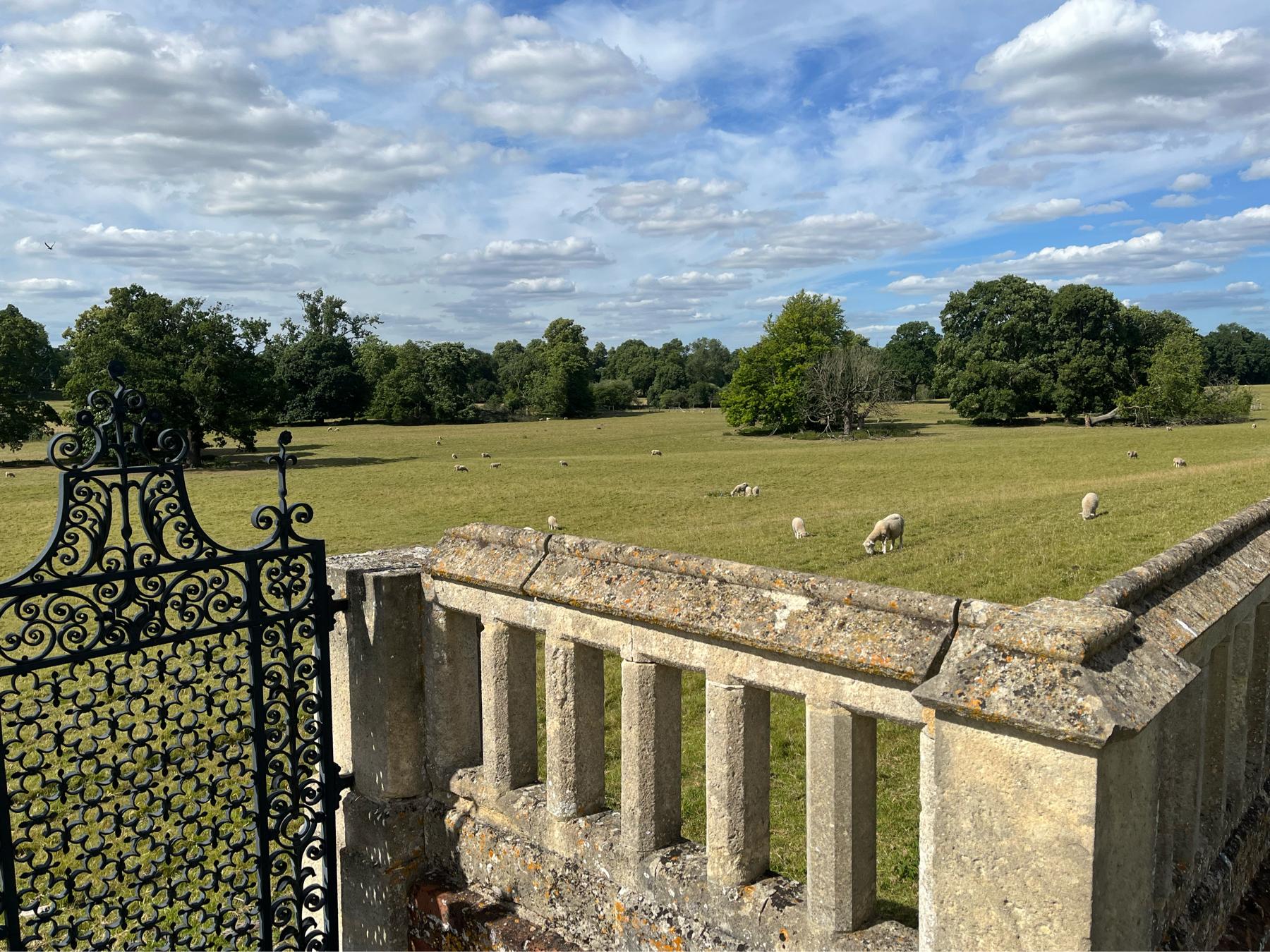 The Wedding Website of Colette Singh and Viraaj Jethwa