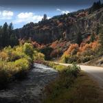 Logan Canyon Foliage