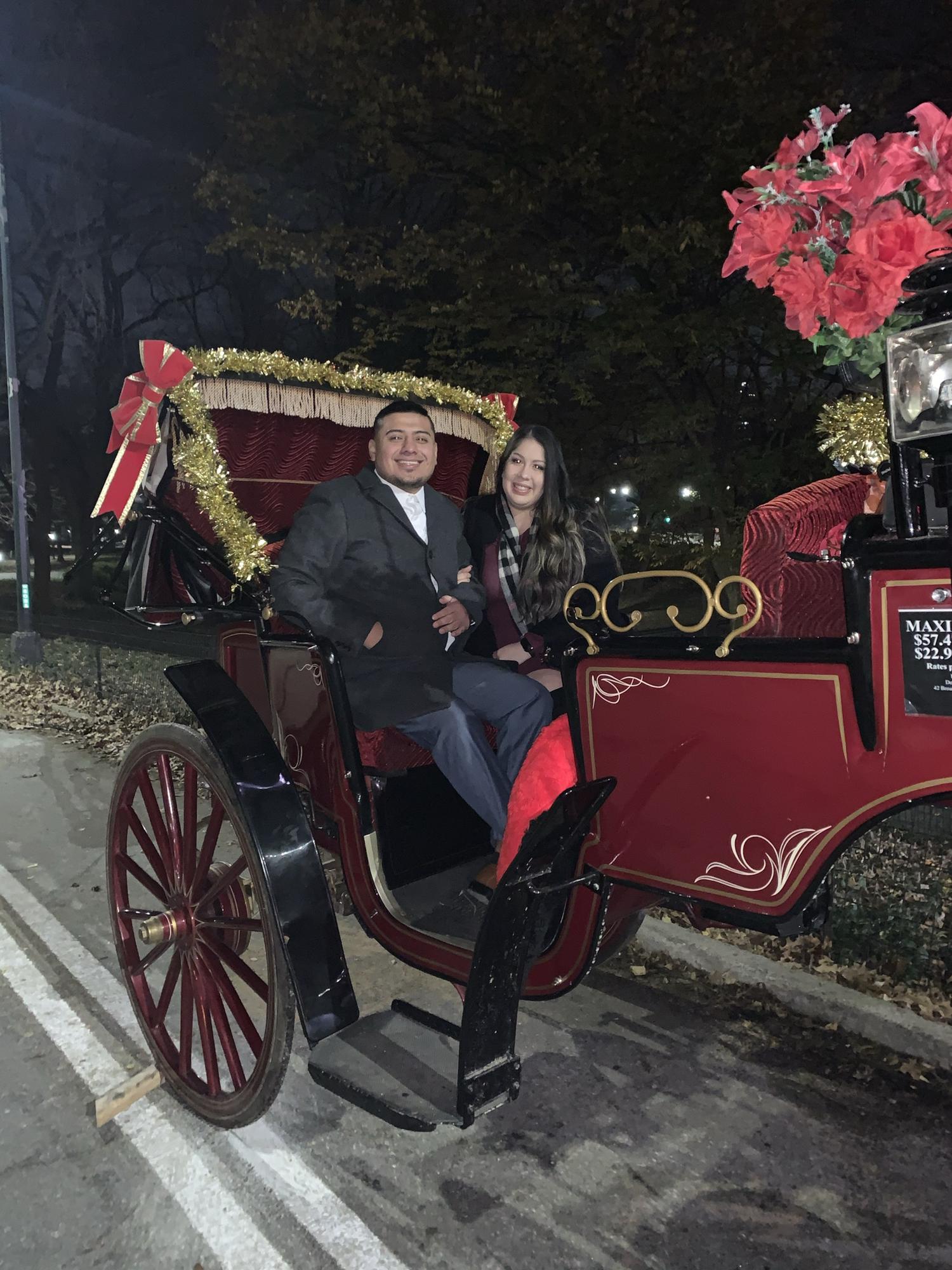 Central Park horse & carriage ride
