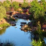 Red Hills Desert Garden